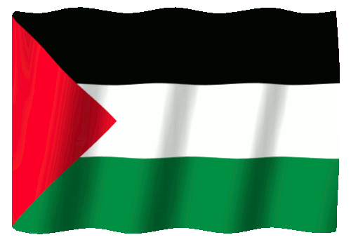 Palestine GIF